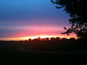 A sun rise against trees.